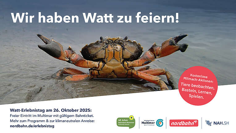 Plakat der nordbahn zum Watterlebnistag am 26.10.2025 im Nationalpark-Zentrum Multimar Wattforum in Tönning