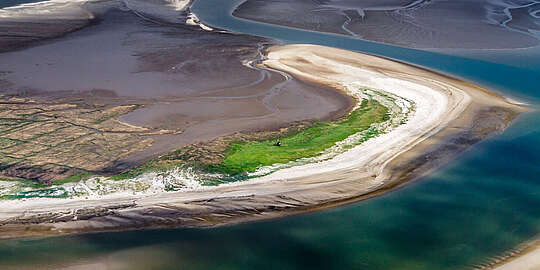 Insel Trischen im Nationalpark Wattenmeer