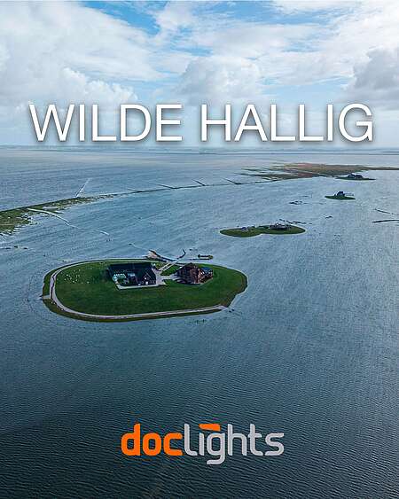 Luftbild einer Hallig bei Landunter mit dem Schriftzug "Wilde Hallig"