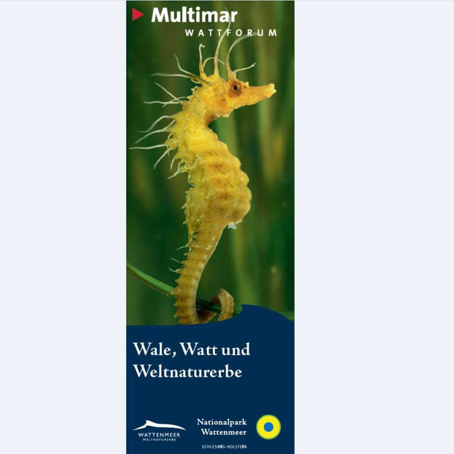 Informationen für Besucher | Multimar Wattforum