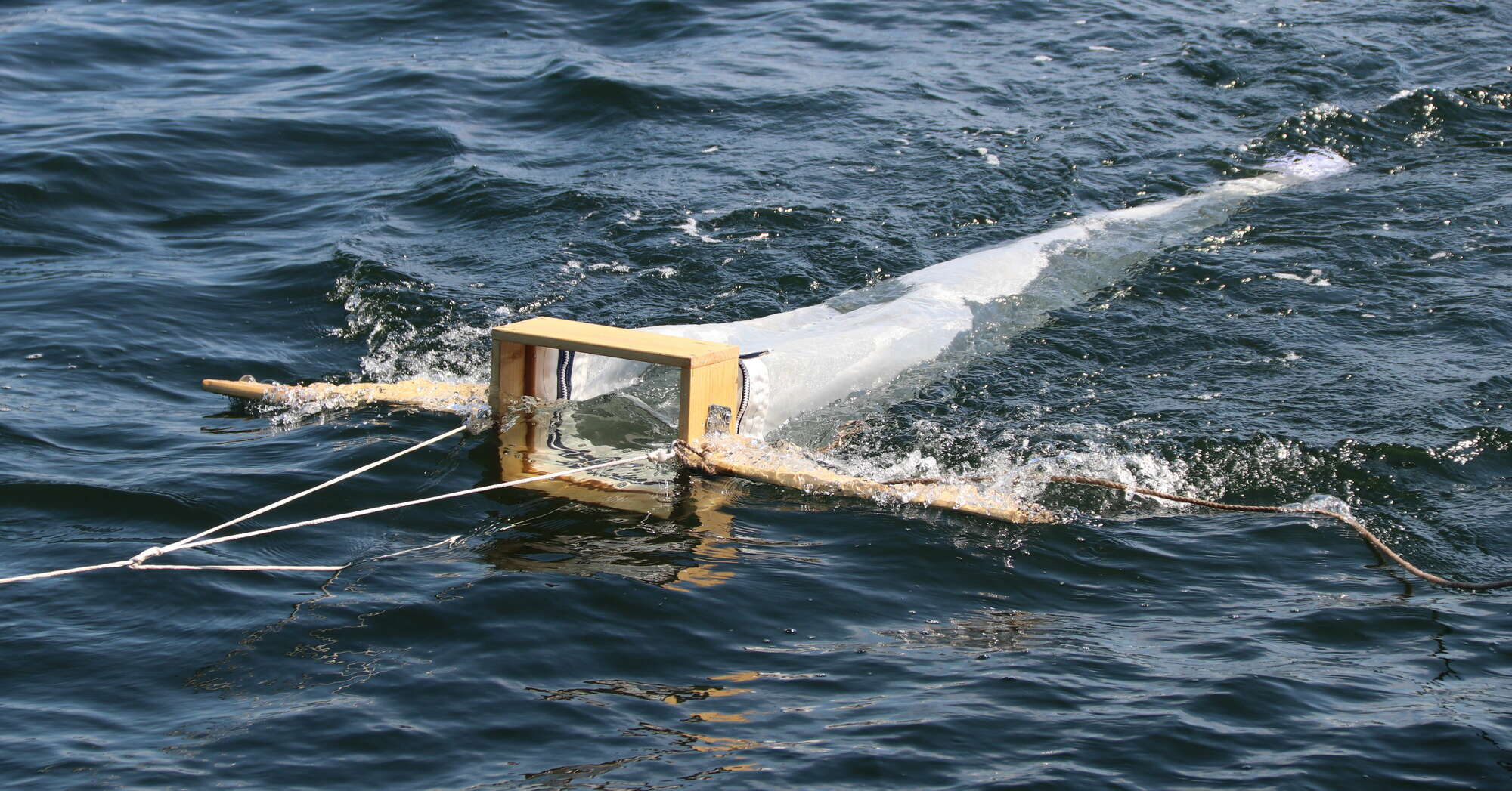 Mikroplastik im Meer Multimar Wattforum