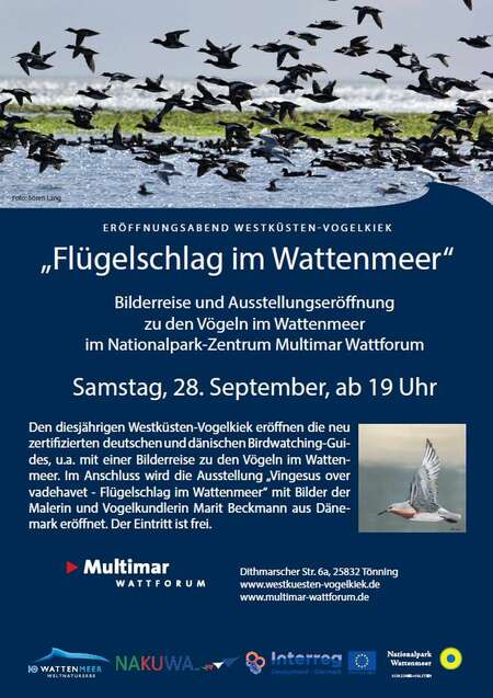 Plakat Eröffnungsabend Westküsten-Vogelkiek 2019 im Multimar Wattforum