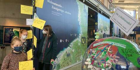 Die Meeresmüllausstellung der Grundschule Tetenbüll ist derzeit im Multimar Wattforum zu sehen
