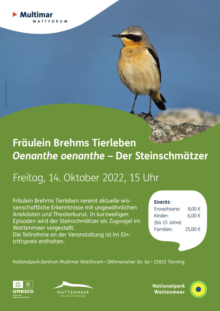  Fräulein Brehms Tierleben präsentiert im Multimar Wattforum in einem Theaterstück den Steinschmätzer als Zugvogel im Wattenmeer.