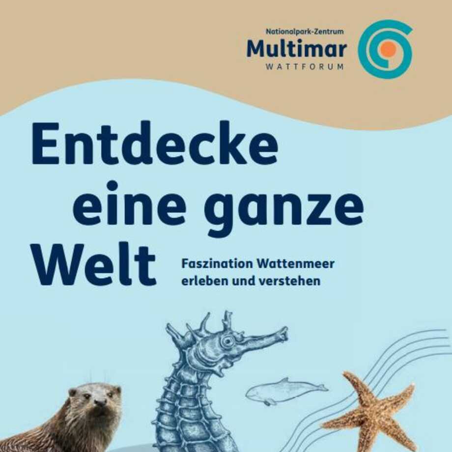Ausstellung & Aquarium | Multimar Wattforum