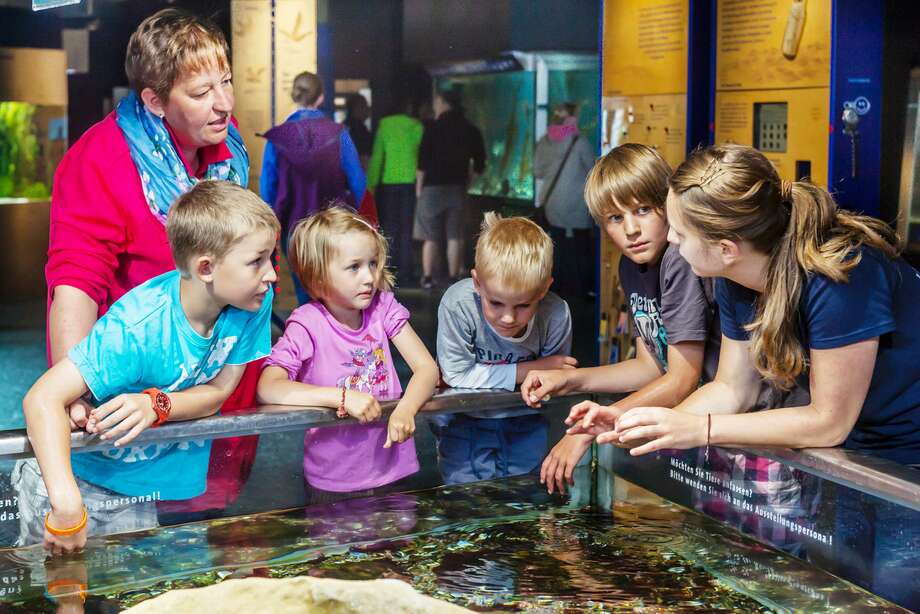 Kinder können zuschauen bei der Fischfütterung in den Aquarium