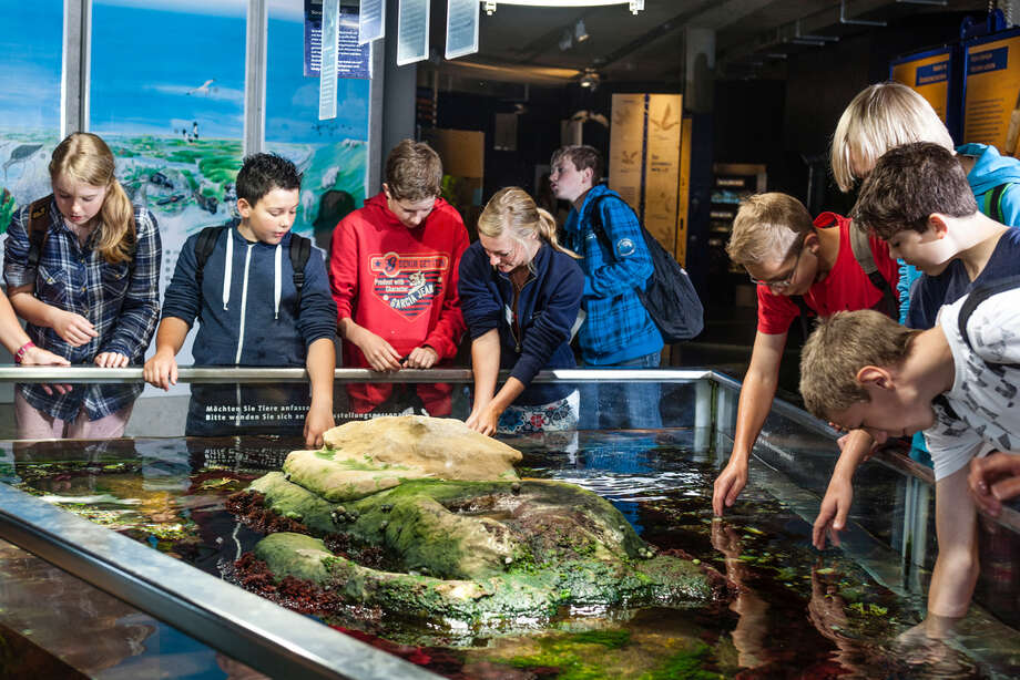 Schulklasse in der Erlebnisausstellung zu Watt, Meer und Nordsee im Multimar Wattforum