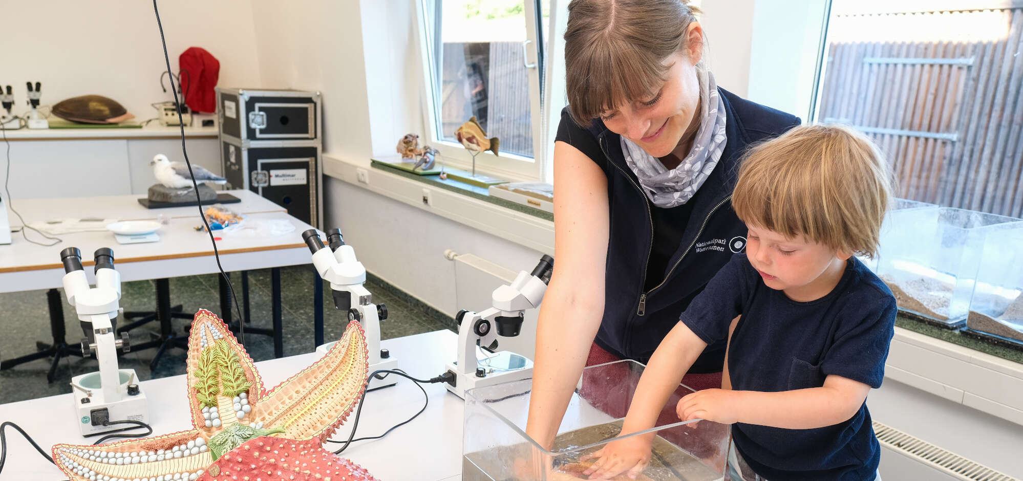Bildungsangebote für Kindergarten und Co im Nationalpark- | Multimar