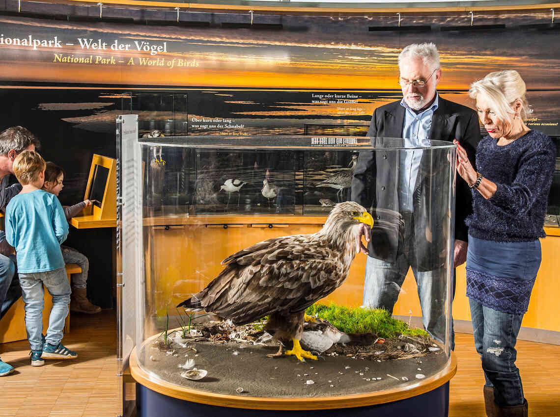 Ausstellung & Aquarium | Multimar Wattforum