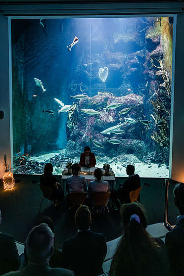 Trauung vor der Panoramascheibe eines Großaquariums
