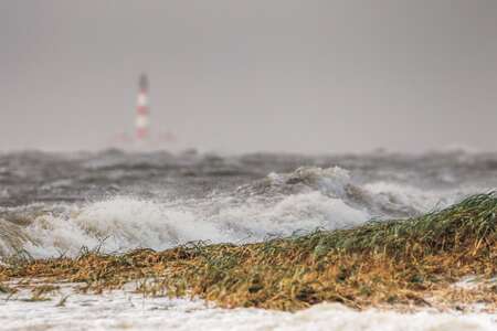 Sturmflut im Nationalpark Wattenmeer ©Stock/LKN.SH