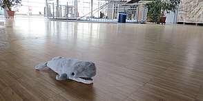 Baustelle im Nationalpark-Zentrum Multimar Wattforum Baustelle im Nationalpark-Zentrum Multimar Wattforum