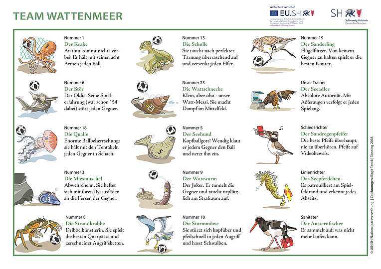 Eine Liste mit Zeichnungen von Wattenmeer-Tiere und Beschreibungen ihrer fußballerischen Talente