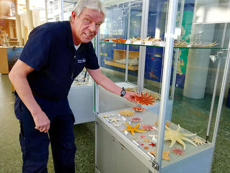 Birger Kreutz präsentiert die Stachelhäuter der Nordsee im Multimar Wattforum